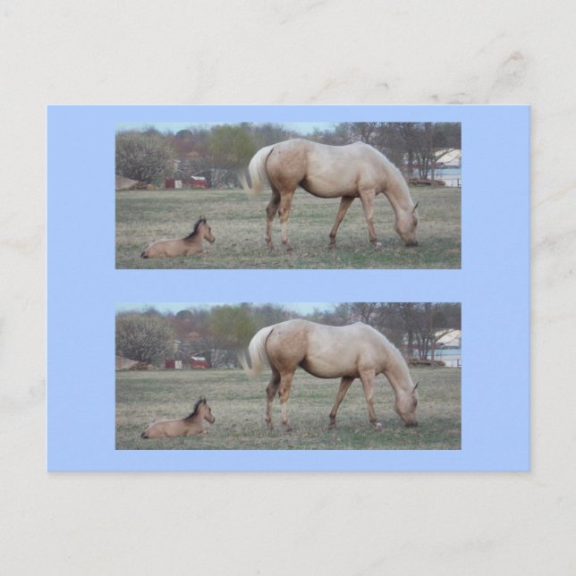 Die Newcomer Bookmarkers Postkarte (Vorderseite)