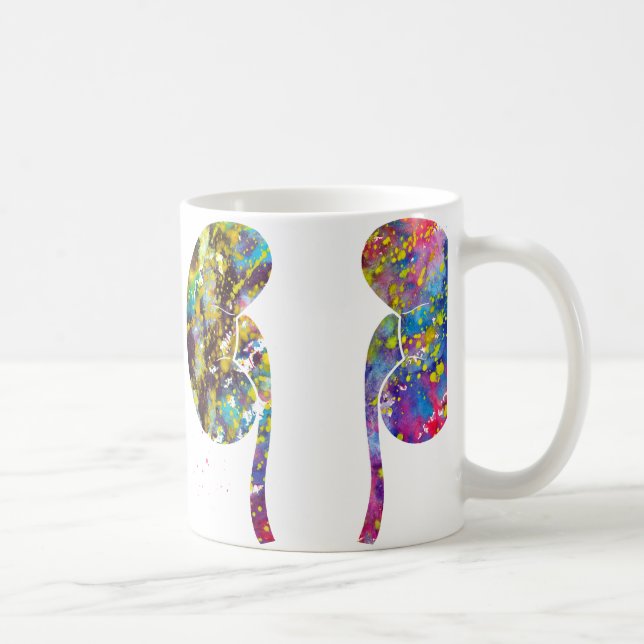 Die Nieren Anatomie Kaffeetasse (Rechts)