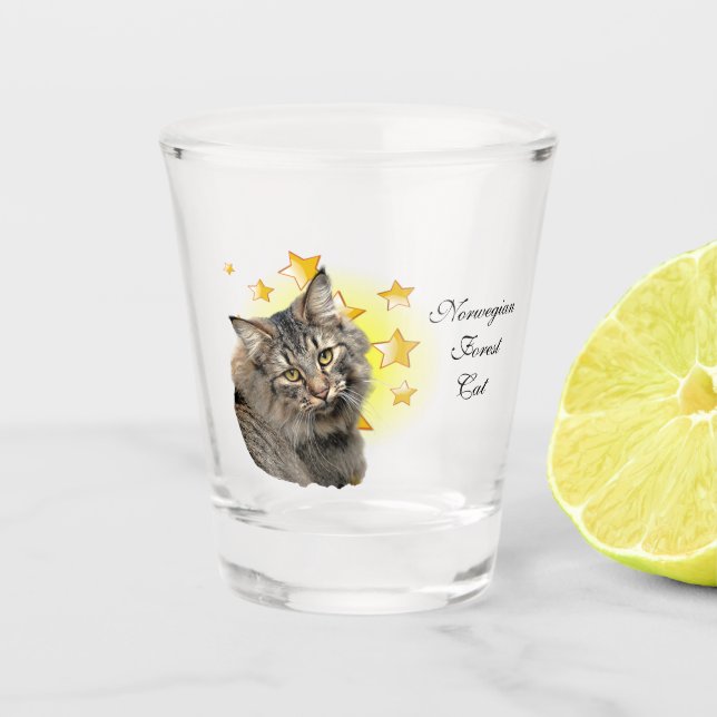 Die Norwegische Waldkatze mit langer Haare ist ein Schnapsglas (Vorderseite)