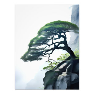 Die Odds besiegen: Bonsai Tree on Cliff Fotodruck