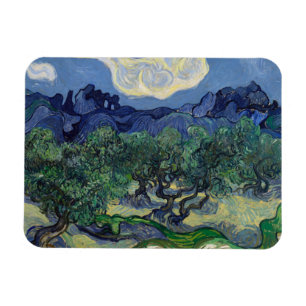 Die Olivenbäume von Vincent Van Gogh Magnet