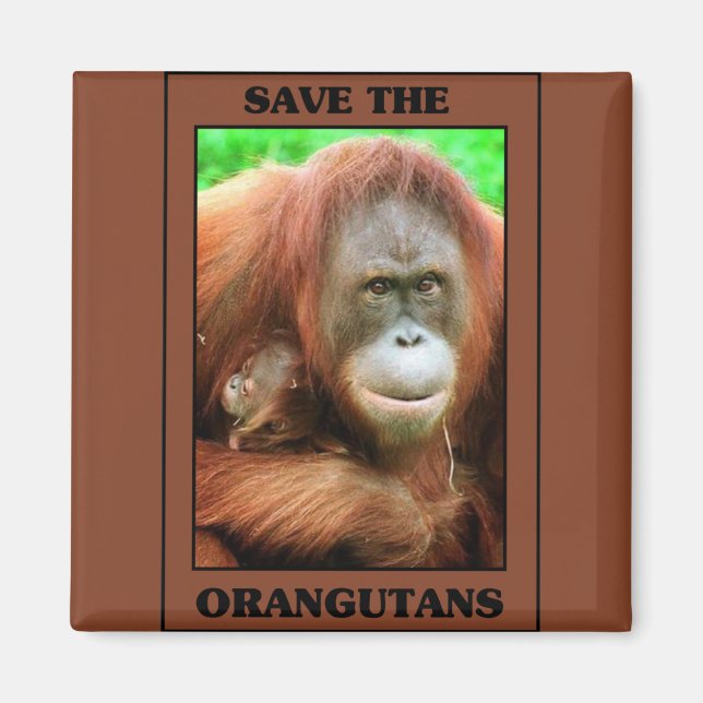 Die Orangutanen gerettet Magnet (Vorne)
