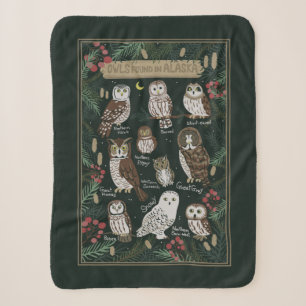 Die Owls in Alaska Sherpa Blanket gefunden Sherpadecke