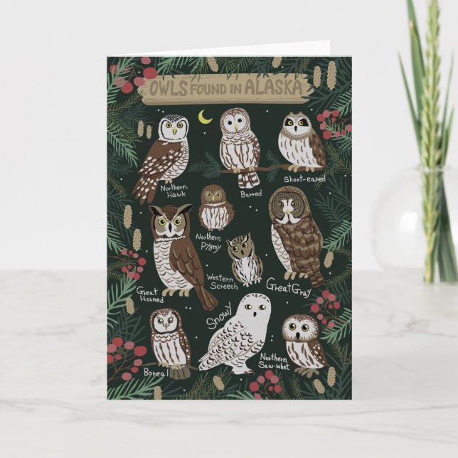 Die Owls in der Alaska Grußkarte gefunden Karte (Vorderseite)