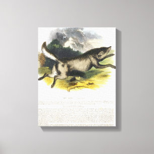 Die pädagogische Illustrations-PU des Wolfs (Cani Leinwanddruck