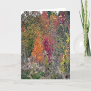 Die Palette des Herbstes Karte