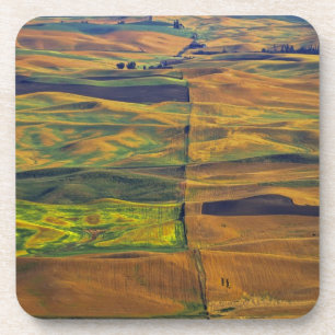 Die Palouse von Steptoe Butte, Colfax, Getränkeuntersetzer