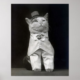 Die Papierkatze, 1906. Vintages Foto Poster