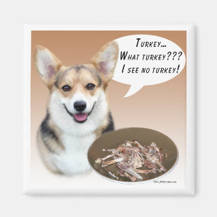 Die Pembrokecorgi-Türkei-Magnet Magnet