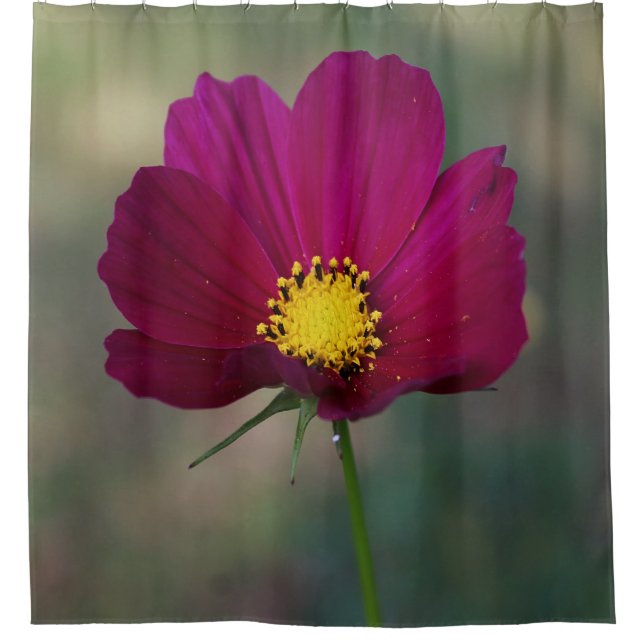 Die perfekte Blume der Schwester Duschvorhang (Vorderseite)