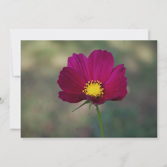 Die perfekte Blume der Schwester Einladung (Vorderseite)