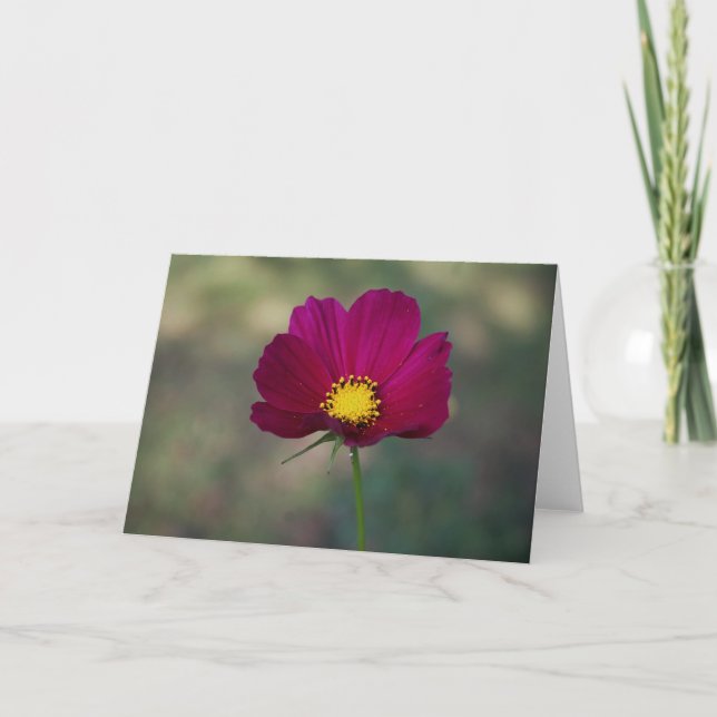 Die perfekte Blume der Schwester Karte (Vorderseite)