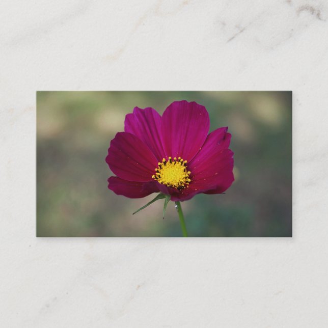 Die perfekte Blume der Schwester Visitenkarte (Vorderseite)