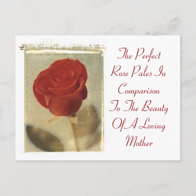 Die perfekte Rose gegen Mutter Postkarte (Vorderseite)