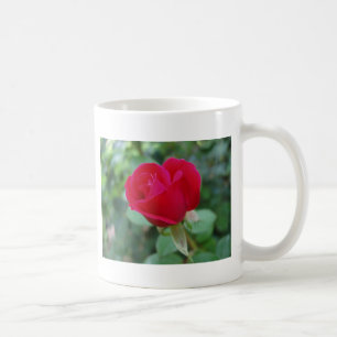 Die perfekte Rose Kaffeetasse