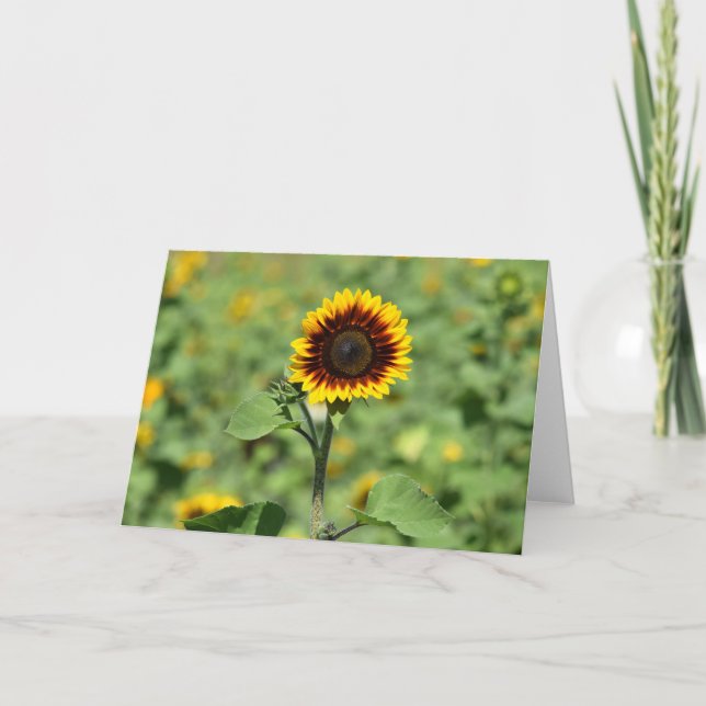 Die perfekte Sonnenblume - eine glückliche Grußkar Karte (Vorderseite)