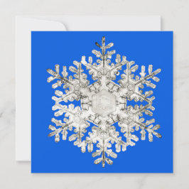 Die Perfektion der Natur Brilliant Blue Snowflake Feiertagskarte