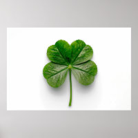 Die Perfektion der Natur: Die Symmetrie eines Leaf