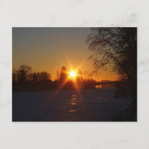 Die Perfektion der Natur Postkarte