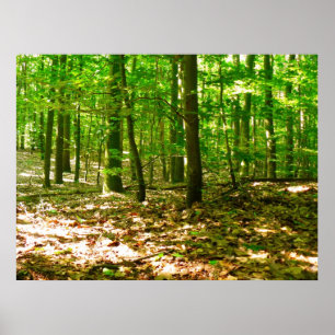 Die Perspektive eines Hundes Poster