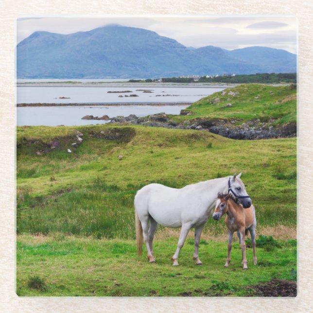 Die Pferde von Connemara | Galway, Irland Glasuntersetzer (Vorderseite)
