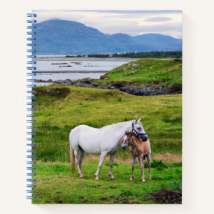Die Pferde von Connemara   Galway, Irland Notizbuch