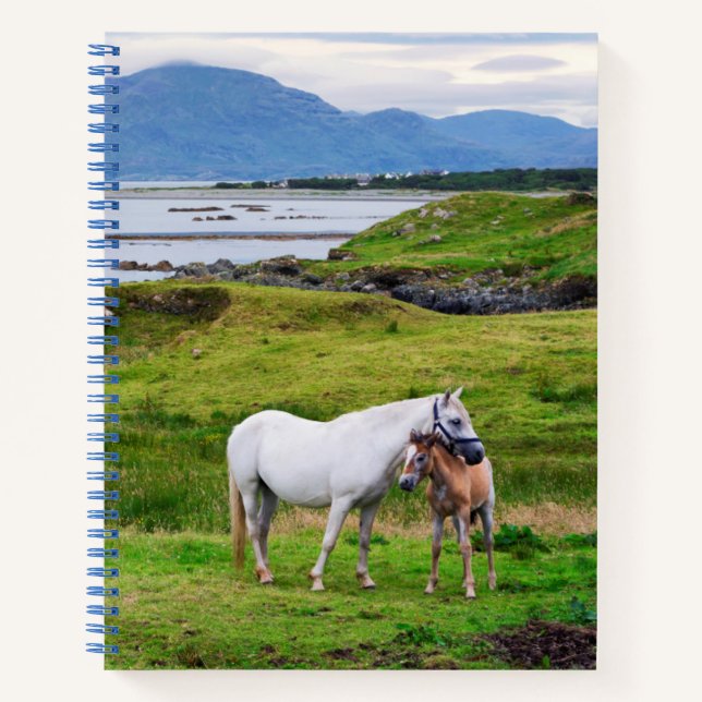 Die Pferde von Connemara | Galway, Irland Notizbuch (Vorderseite)