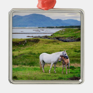Die Pferde von Connemara Galway, Irland Ornament Aus Metall