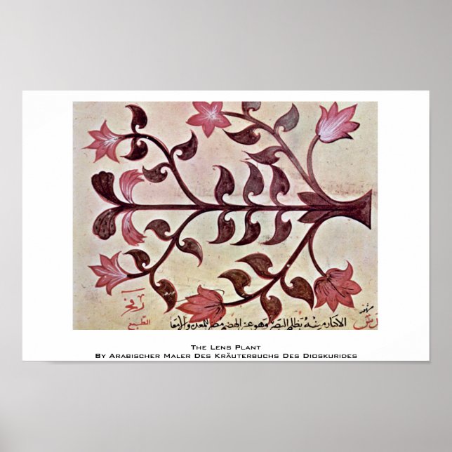 Die Pflanze Lens Poster (Vorne)