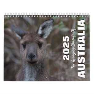 Die Phantastischen Wildtiere Australiens Kalender
