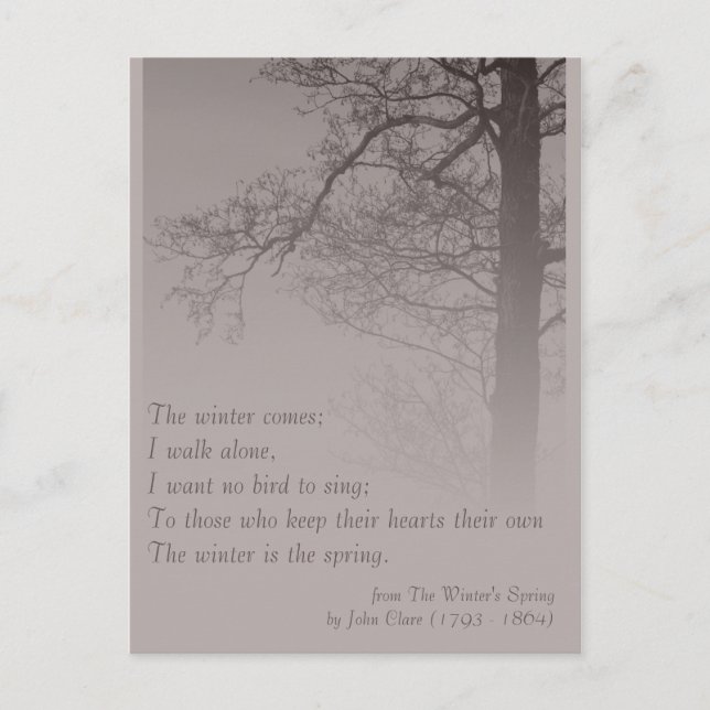 Die Poesie des Winters vom Frühling 2037 Postkarte (Vorderseite)