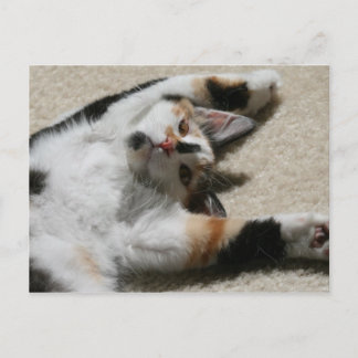 Die Postkarte der Hoffnung