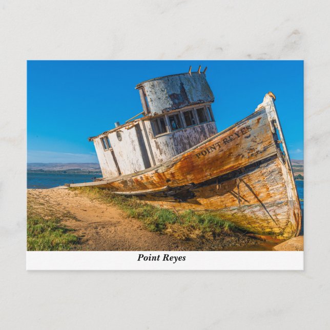 Die Postkarte "Point Reyes" (Vorderseite)