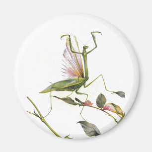 DIE PRAYMANTIS MAGNET