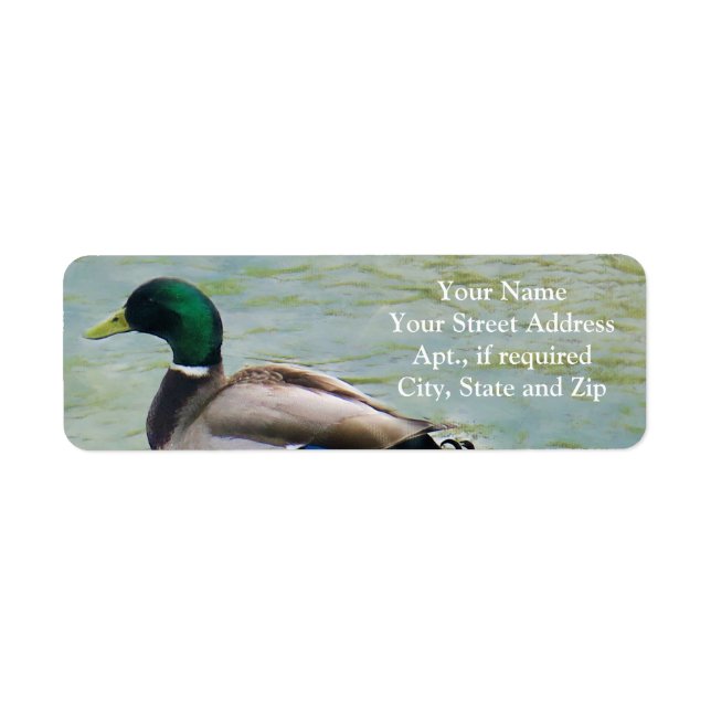 Die Proud-Mallard-Ente als Rücksendeadressen-Aufkl (Vorne)
