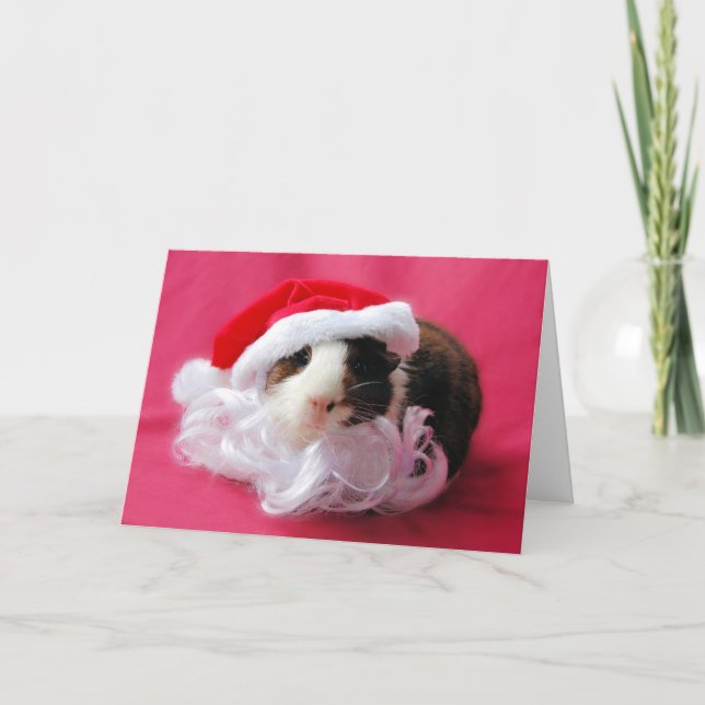 Die Quäkchen der Saison! Weihnachtskarte Feiertagskarte (Vorderseite)