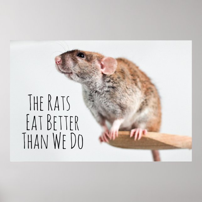 Die Ratten essen besser als wir Poster (Vorne)
