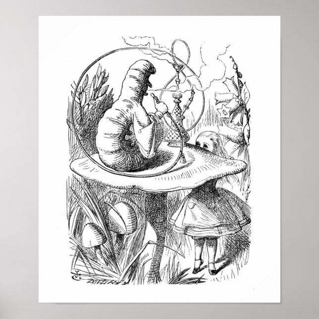 Die Raupe Poster (Vorne)