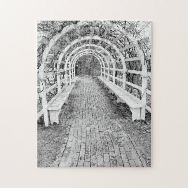 die Rebstöcke (Vertikal)