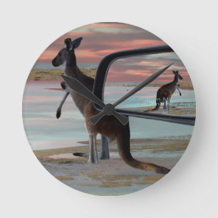 "Die Reflektionen der Wildnis: Ein Kangaroo am Str Runde Wanduhr
