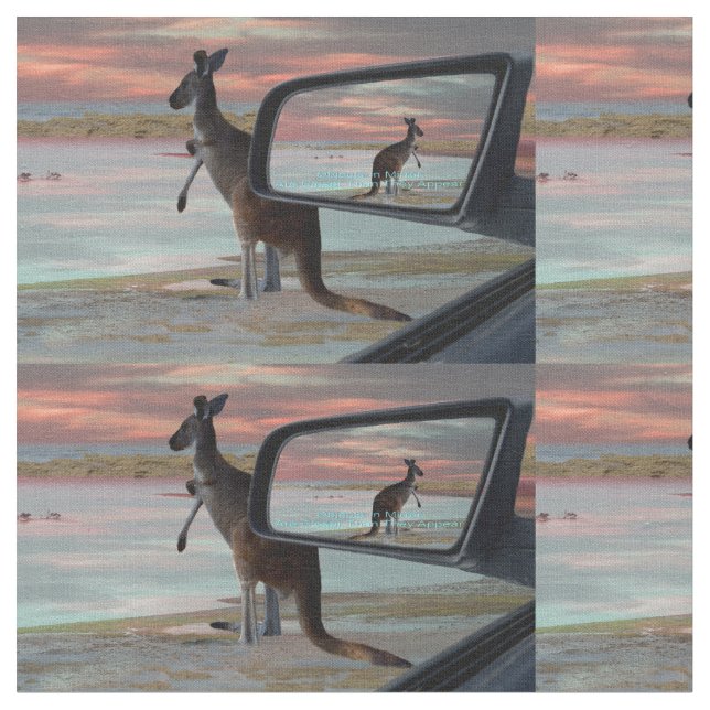 "Die Reflektionen der Wildnis: Ein Kangaroo am Str Stoff (Nahaufnahme)