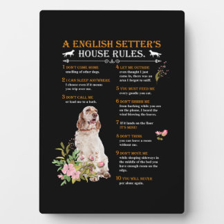 Die Regeln des englischen Setters Fotoplatte