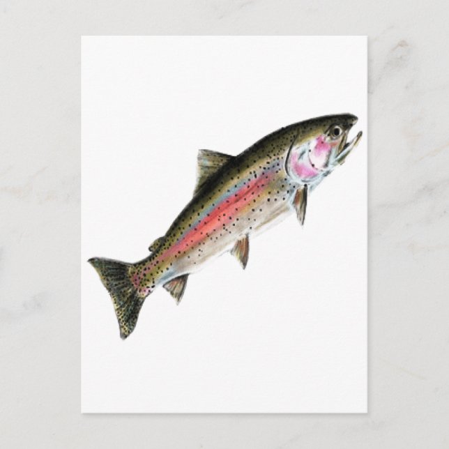 DIE REINE POSTKARTE (Vorderseite)