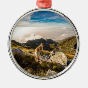 Die Reise Ornament Aus Metall