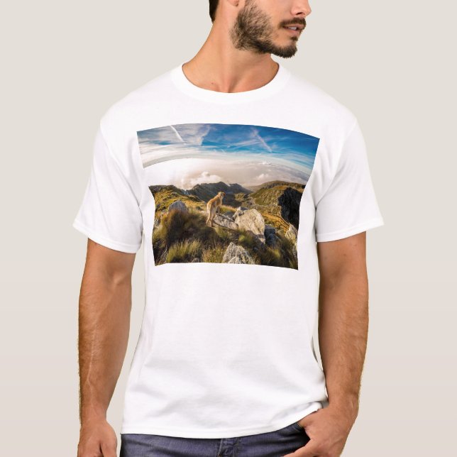 Die Reise T-Shirt (Vorderseite)