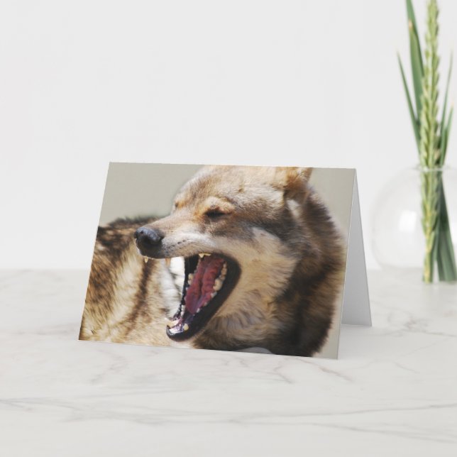 Die Reißzähne des Wolfs Feiertagskarte (Vorderseite)