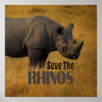 Die Rhinos gerettet