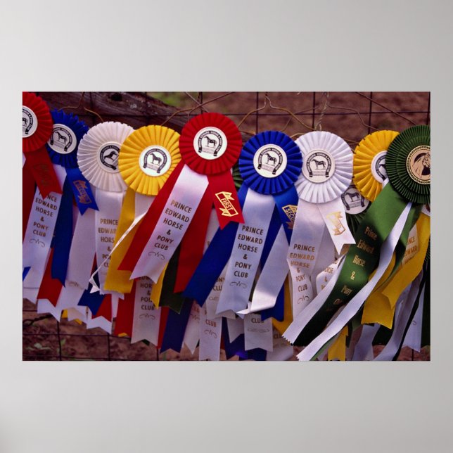 Die Ribbons Poster (Vorne)