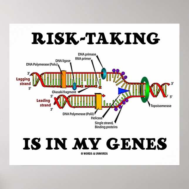 Die Risikobereitschaft liegt in meinem DNA-Replika Poster (Vorne)