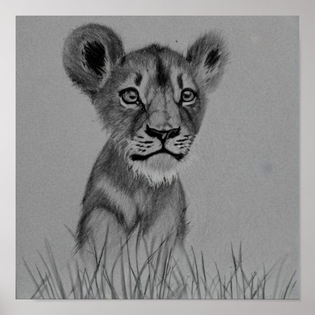 Die Rolle des Abwassers Poster (Vorne)